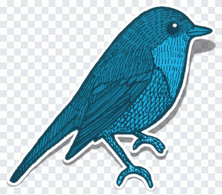 Bird, Blue, Element, Embellishment, Nature PNG