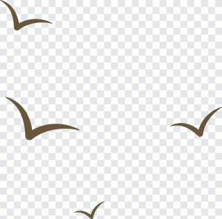 Schnabel, Vogel, Liebe, Tiere, Autor PNG