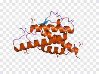 Interleukin 9 Interleukin 4 Crystal PNG