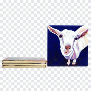 Cabra, fazenda, gado bovino, animal, animais PNG