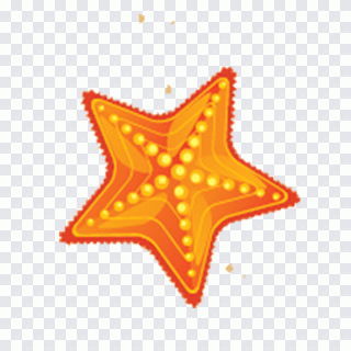 Estrela-do-mar, praia, mar, estrela, animais PNG