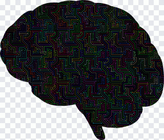 Brain Computer Icons Skull, Brain, people PNG