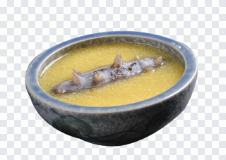 Gurke, Meeresfrüchte, Meer, Lebensmittel PNG