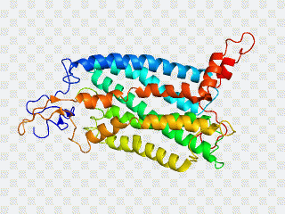 Ccr2 Text, Chemokine, Chemokine Receptor PNG
