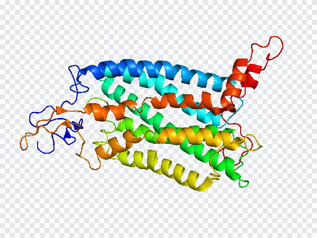 Texto, proteína, gene PNG