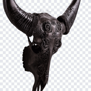 Red Skull, Horn, Water Buffalo PNG