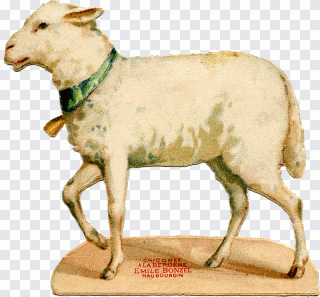 Lammfleisch, Ziege, Schaf, Ostern, Tiere PNG